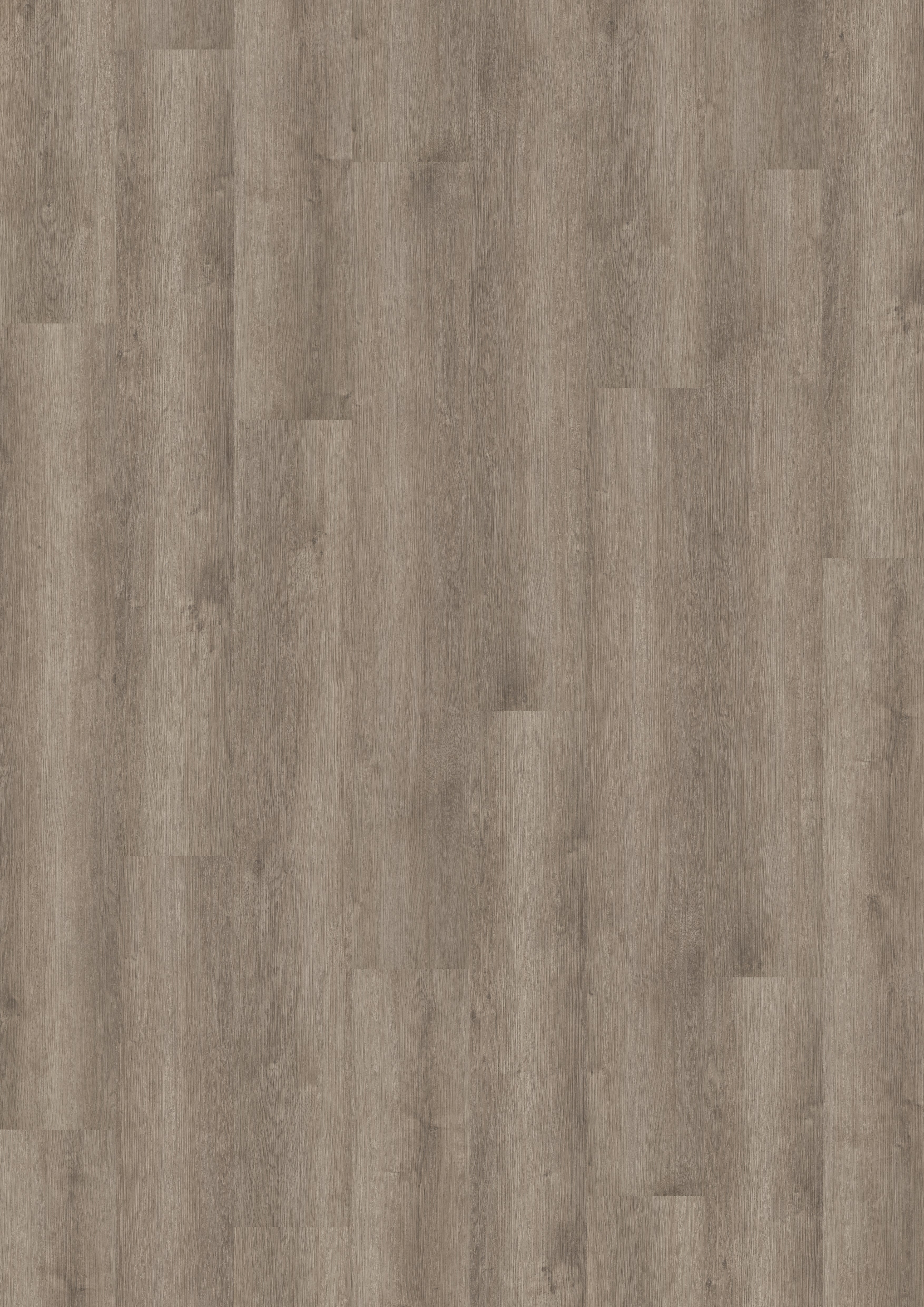 Parchet SPC 5 mm Noble Oak Greige - Home30 Concept