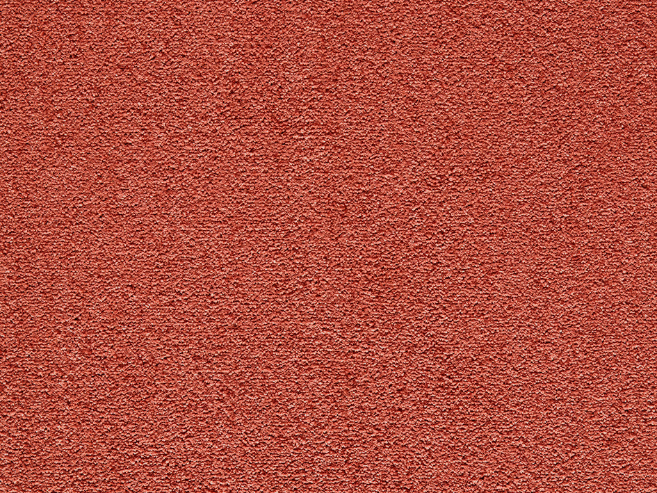 Mochetă Pissarro