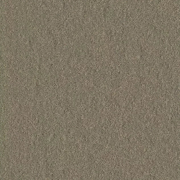 Mochetă Modulară Autoadezivă Chiffon Pearl MO 25x100 cm