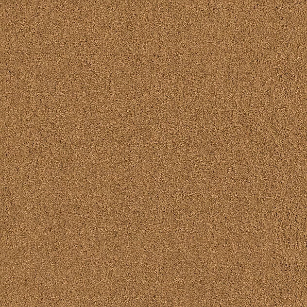 Mochetă Coco Vision