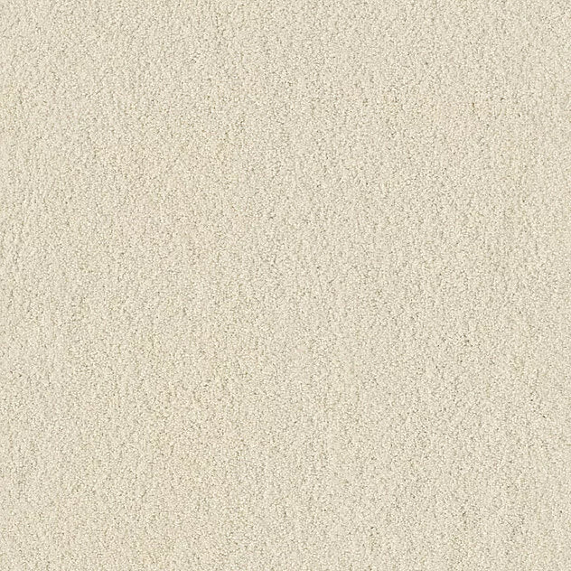 Mochetă Coco Vision