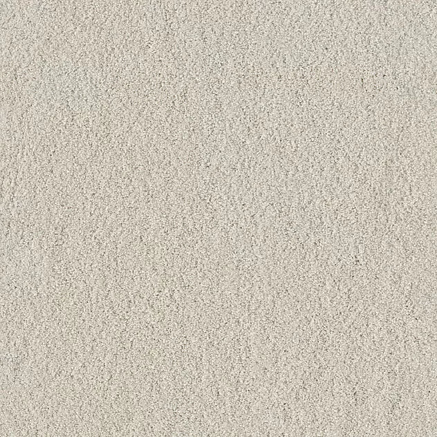 Mochetă Coco Vision