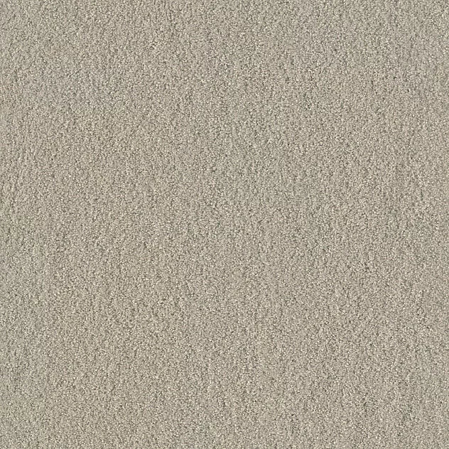 Mochetă Coco Vision